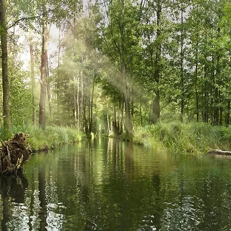 Mit Blick Auf Spree In Lübben