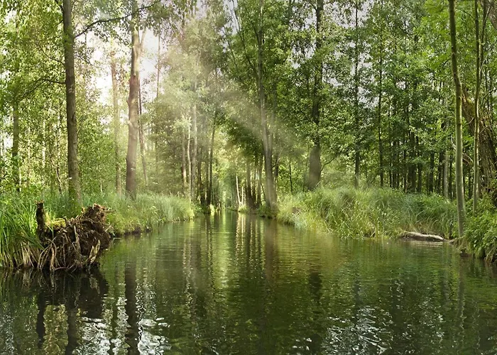 Mit Blick Auf Spree In Lübben